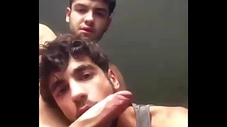 794 gay blowjob porn videos